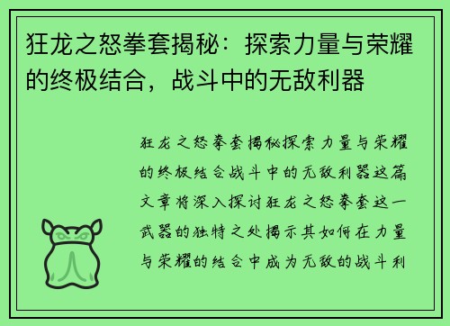 狂龙之怒拳套揭秘：探索力量与荣耀的终极结合，战斗中的无敌利器